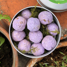 Load image into Gallery viewer, teachers seed bombs