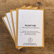 Load image into Gallery viewer, Plantable Christmas Card, Set of 4, 8 & 12