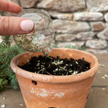 Load image into Gallery viewer, Blooming Baubles - Set of 3