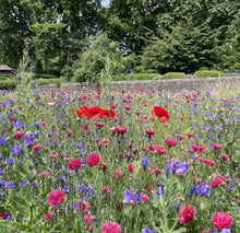 Load image into Gallery viewer, flowers for funerals
