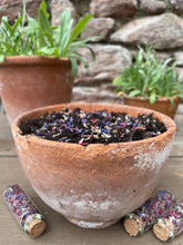 Load image into Gallery viewer, growing forget me not seeds in loving memory a thoughtful idea to give at funerals