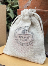 Load image into Gallery viewer, teacher seed gift