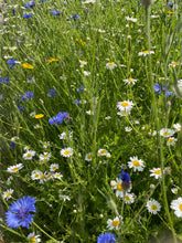 Load image into Gallery viewer, wildflower wedding favours