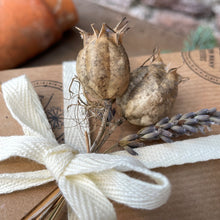 Load image into Gallery viewer, Seed Bomb Stars