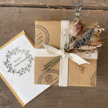 Load image into Gallery viewer, Seed Bomb Stars