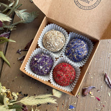 Load image into Gallery viewer, plantable gift seed bombs