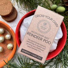 Load image into Gallery viewer, Grow Your Own Seed Bomb Set - Reindeer Poop