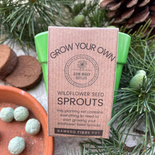 Load image into Gallery viewer, Grow Your Own Seed Bomb Sprouts