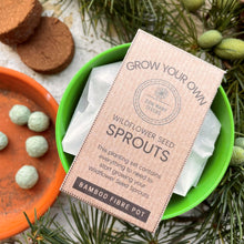 Load image into Gallery viewer, Grow Your Own Seed Bomb Sprouts