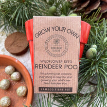 Load image into Gallery viewer, Grow Your Own Seed Bomb Set - Reindeer Poop