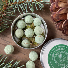 Load image into Gallery viewer, Seed Bomb Sprouts