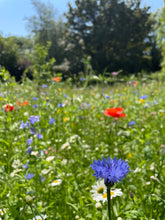 Load image into Gallery viewer, personalised wedding favours wildflowers