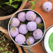 Load image into Gallery viewer, Wildflower 'Bee's & Butterflies' Seed Balls