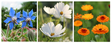 Load image into Gallery viewer, Seed Bomb Easter Eggs