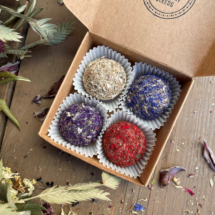 plantable gift seed bombs