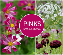Load image into Gallery viewer, Pink Flowers Seed Collection
