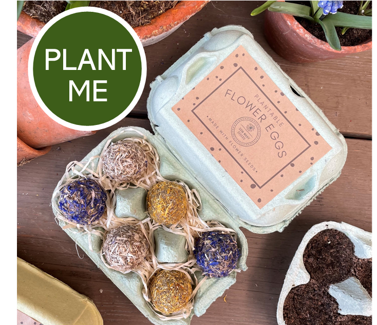 easter egg plant seeds Easter Seed Bomb Eggs