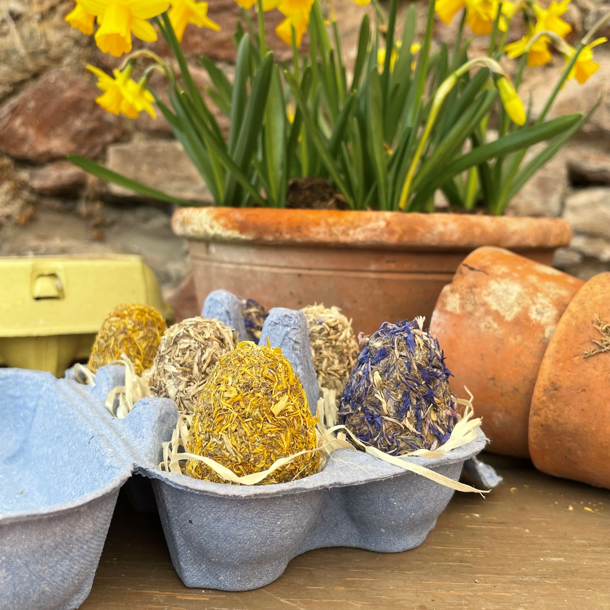 easter egg plant seeds Easter Seed Bomb Eggs
