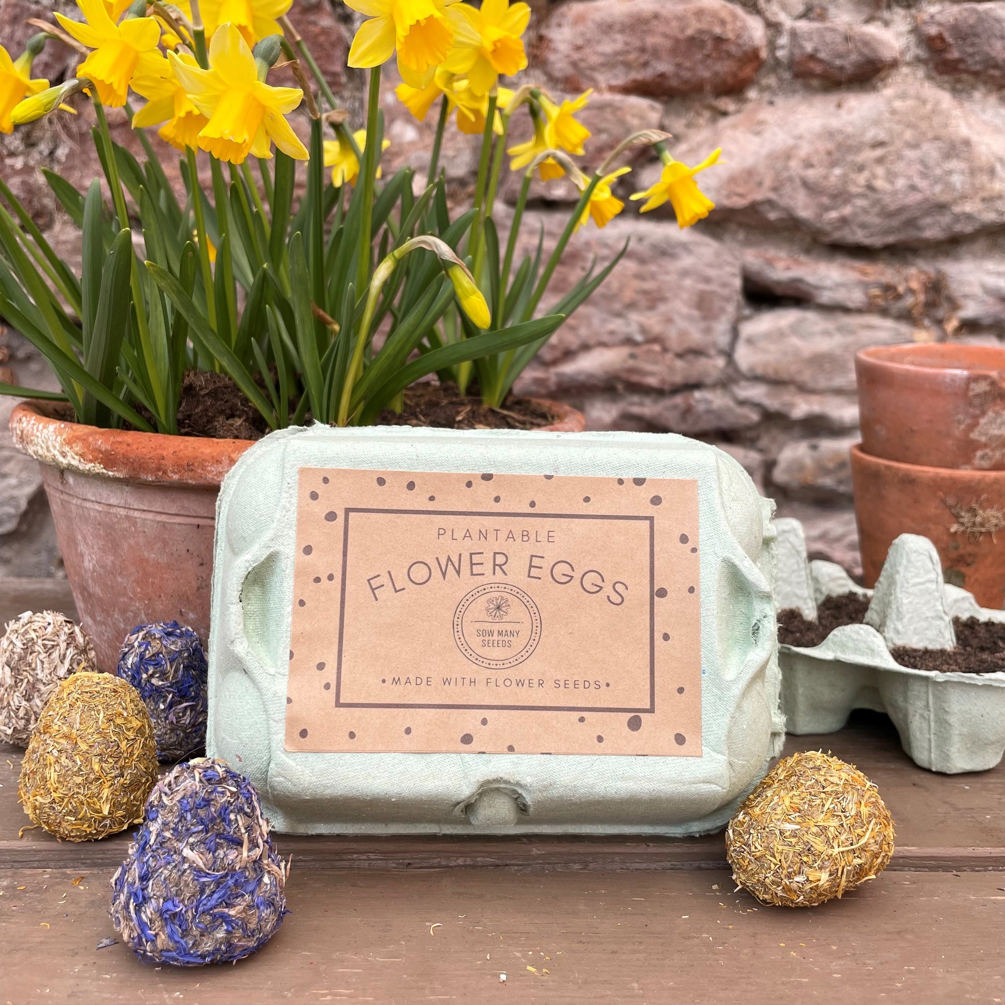 easter flower seeds Easter Seed Bomb Eggs
